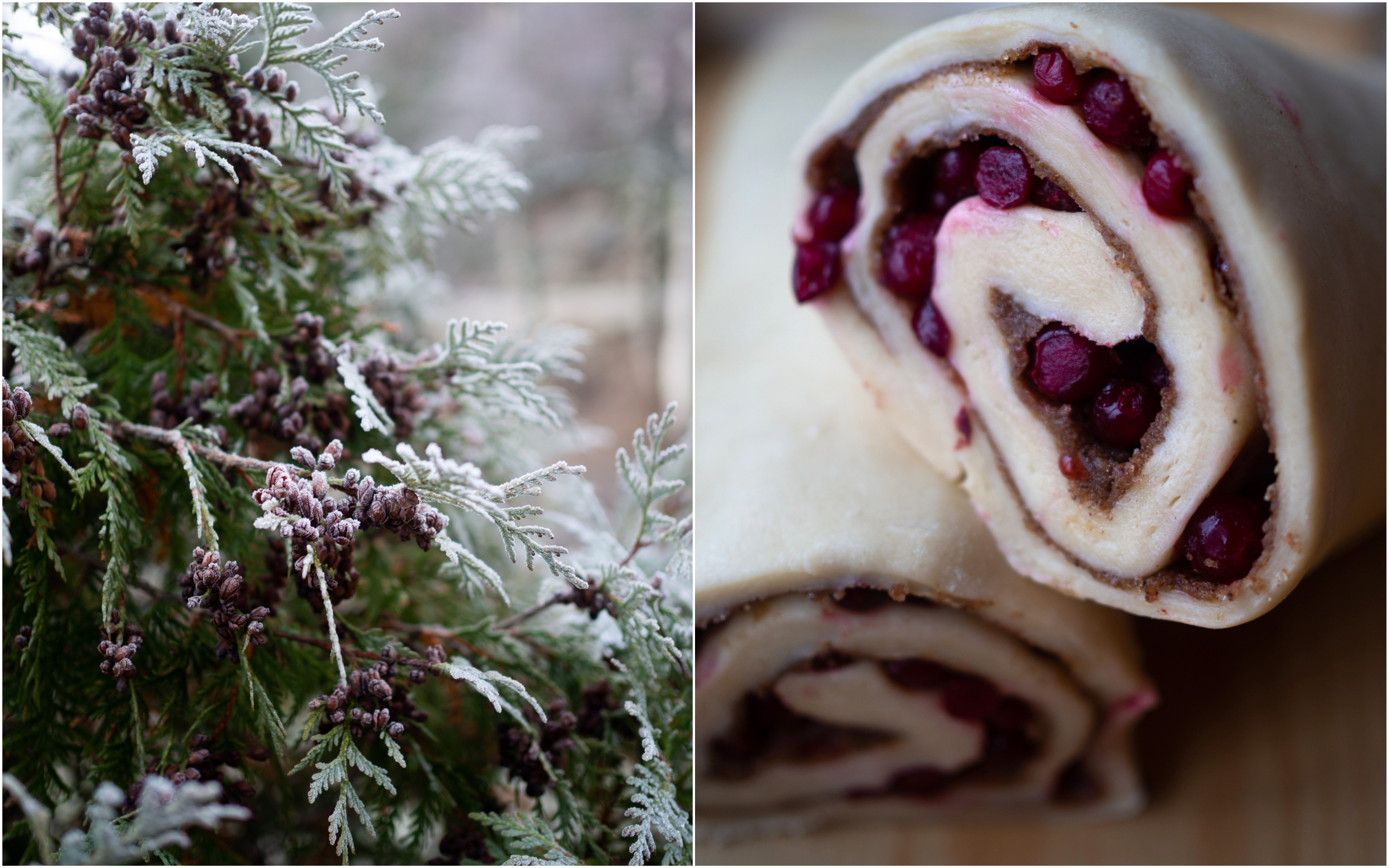 Lingonberry Cinnamon Sweet Buns (kanelsnurrer med tyttebær) 