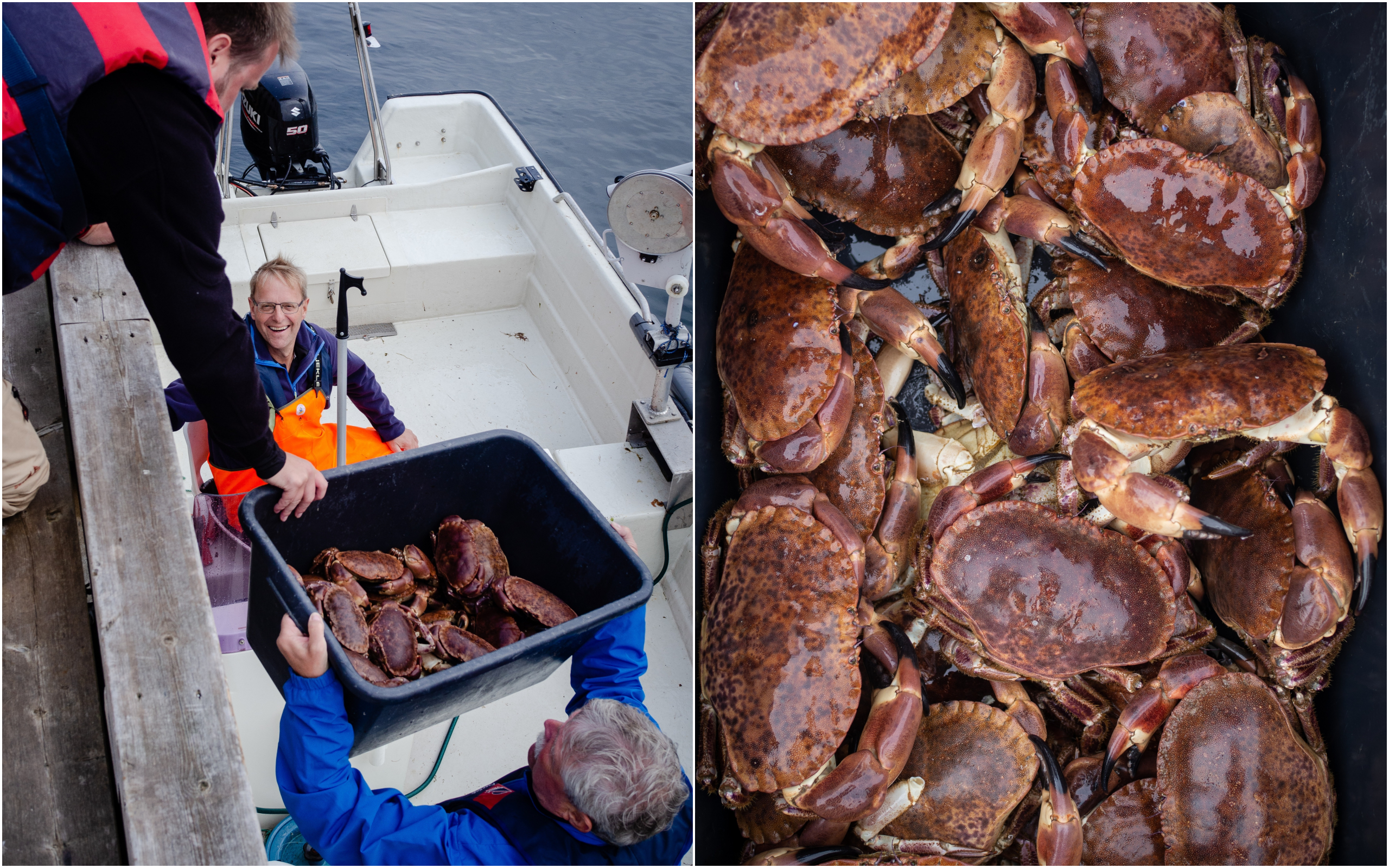 Ona, Norway and Crab Fishing