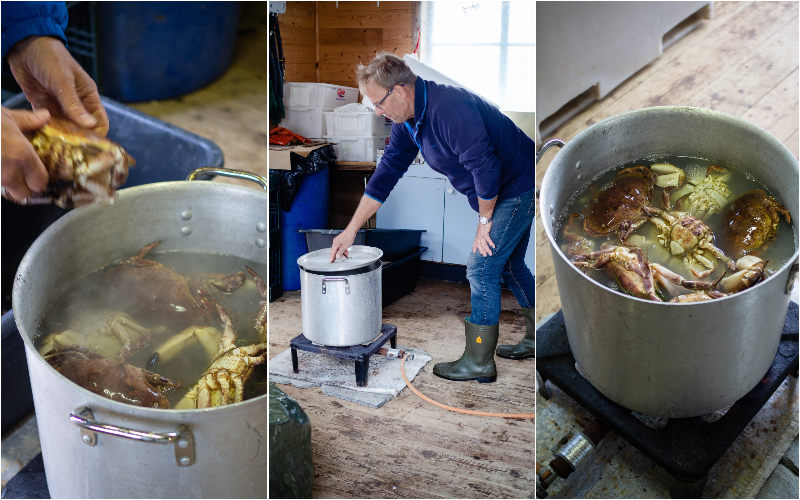 Ona, Norway and Crab Fishing