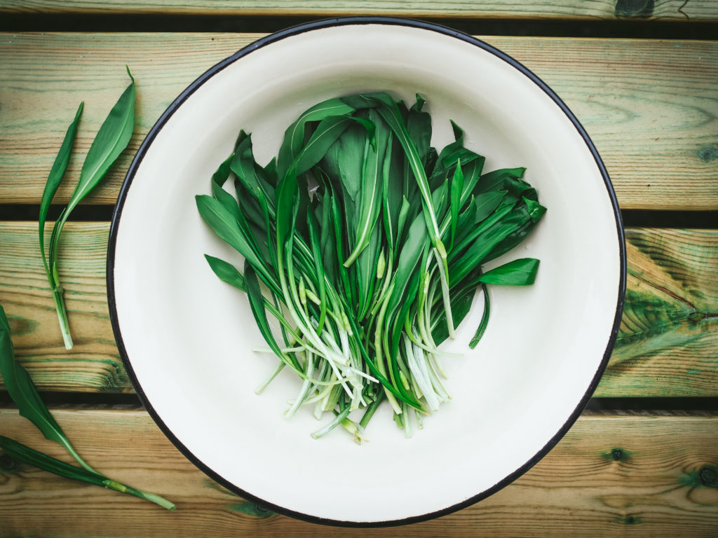 Wild Garlic (ramsløk) - Guide to Spring Foraging