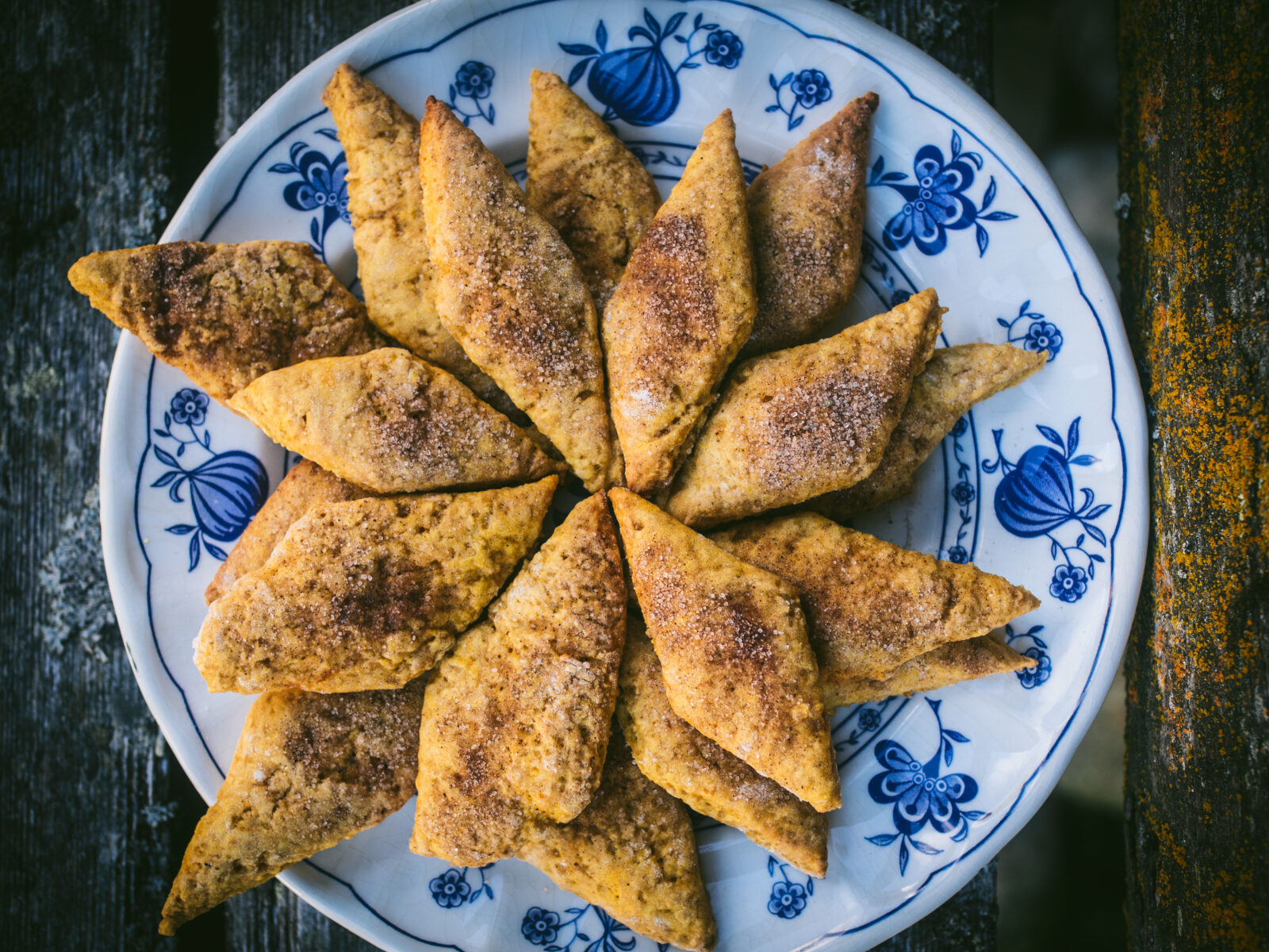 Pumpkin Collar Cookies