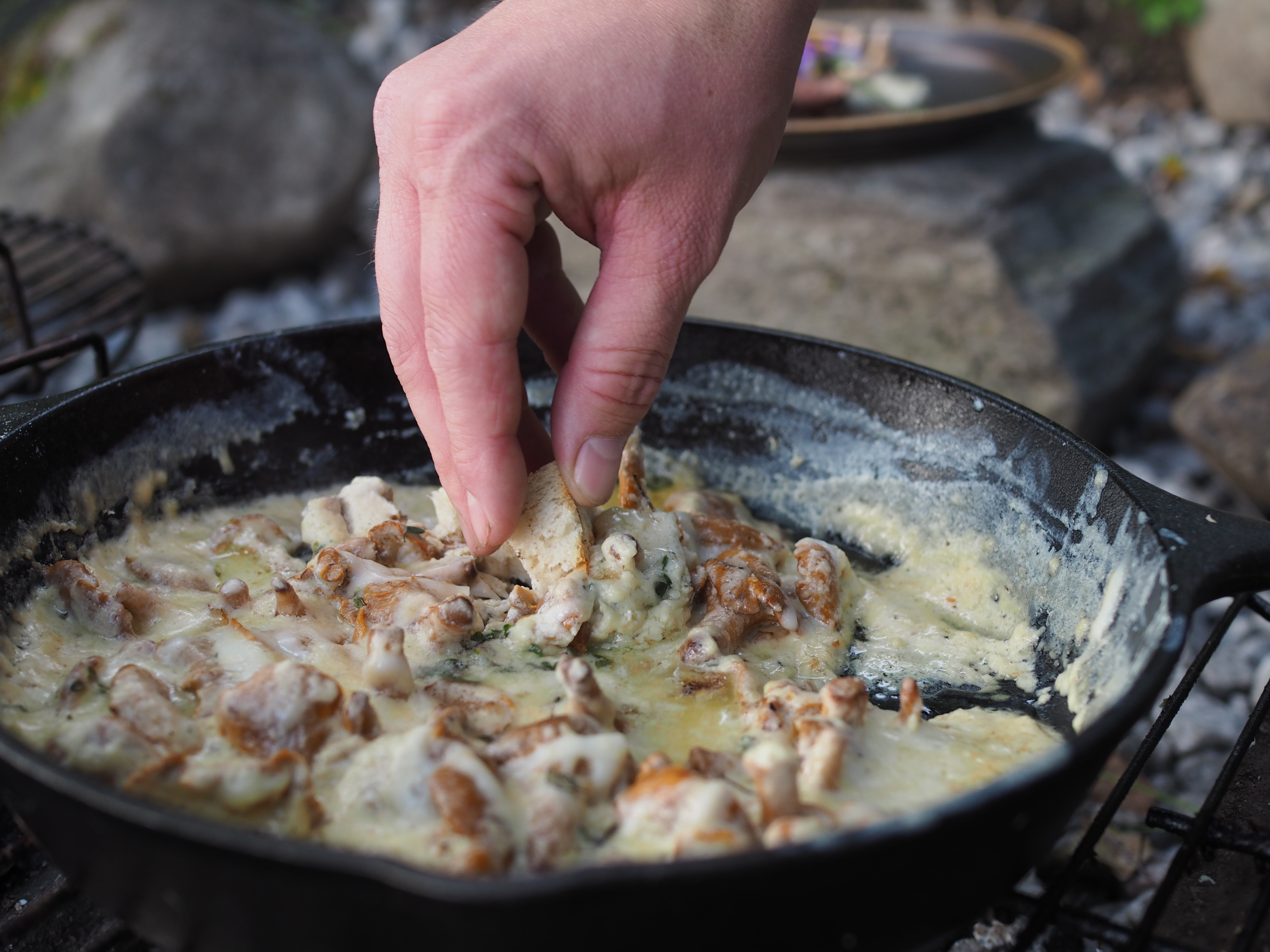 Cheesy Chanterelle Skillet (Kantarelles med Geitost)