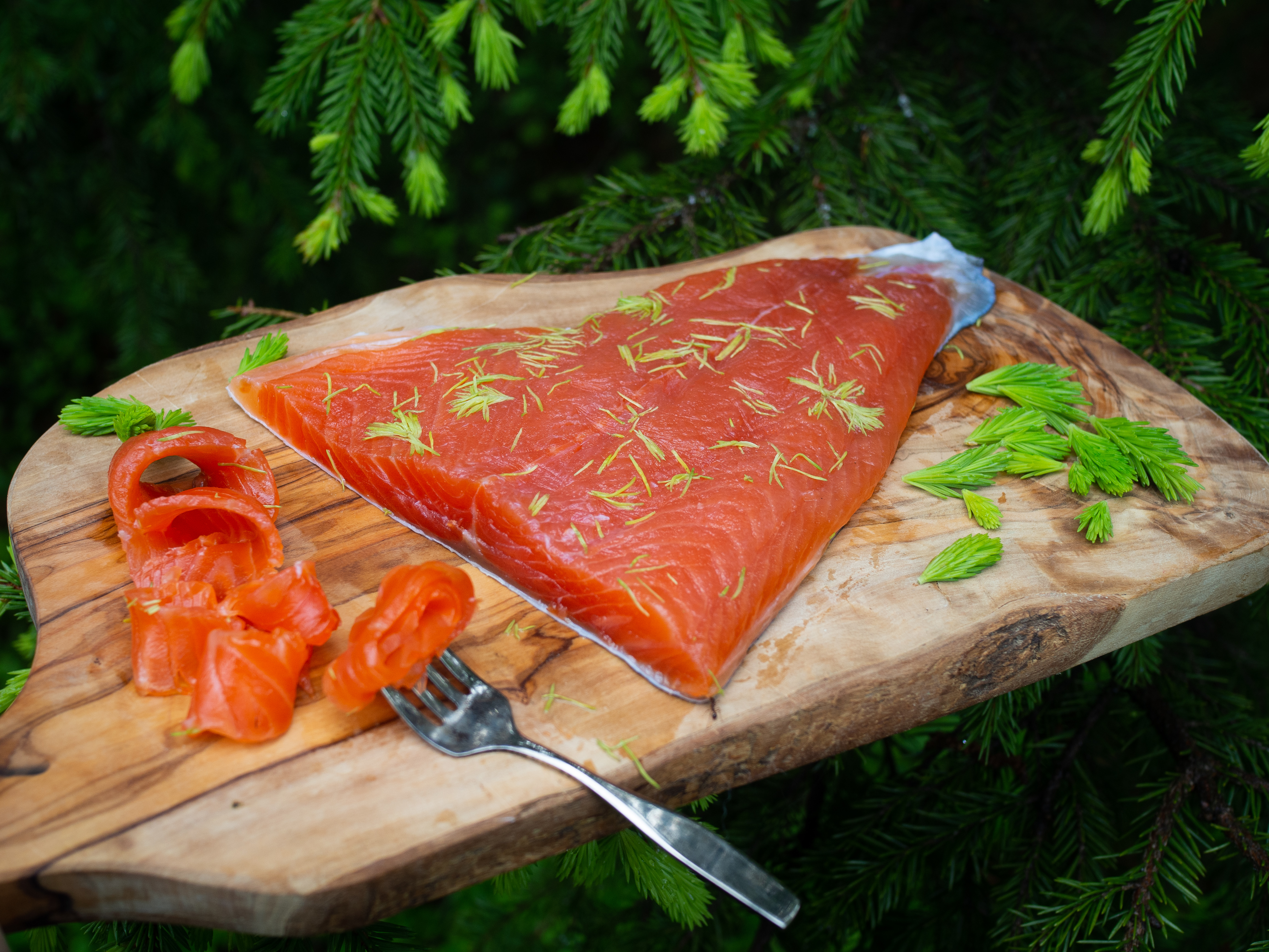 Cured Trout with Spruce Tiips (Gravet Orret med Grandskudd)