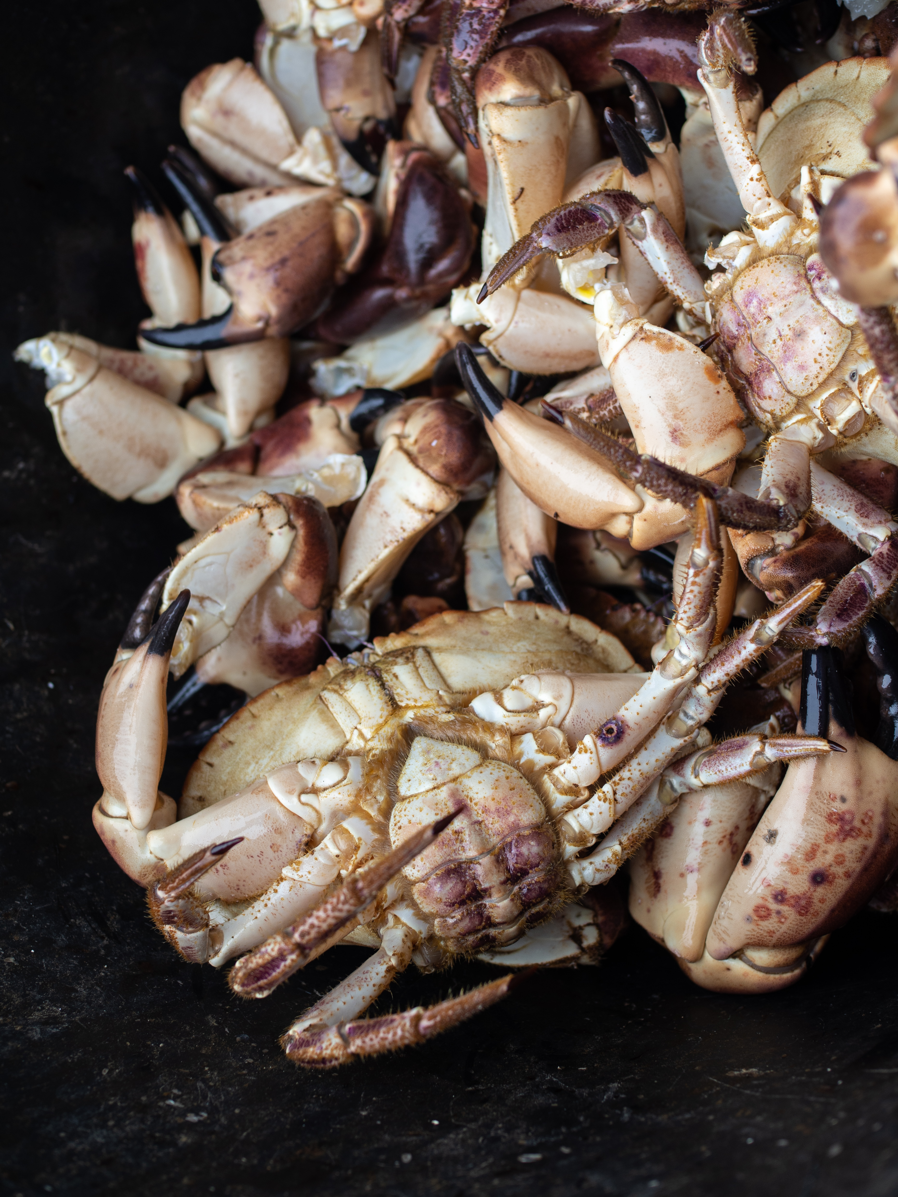 Ona, Norway and Crab Fishing
