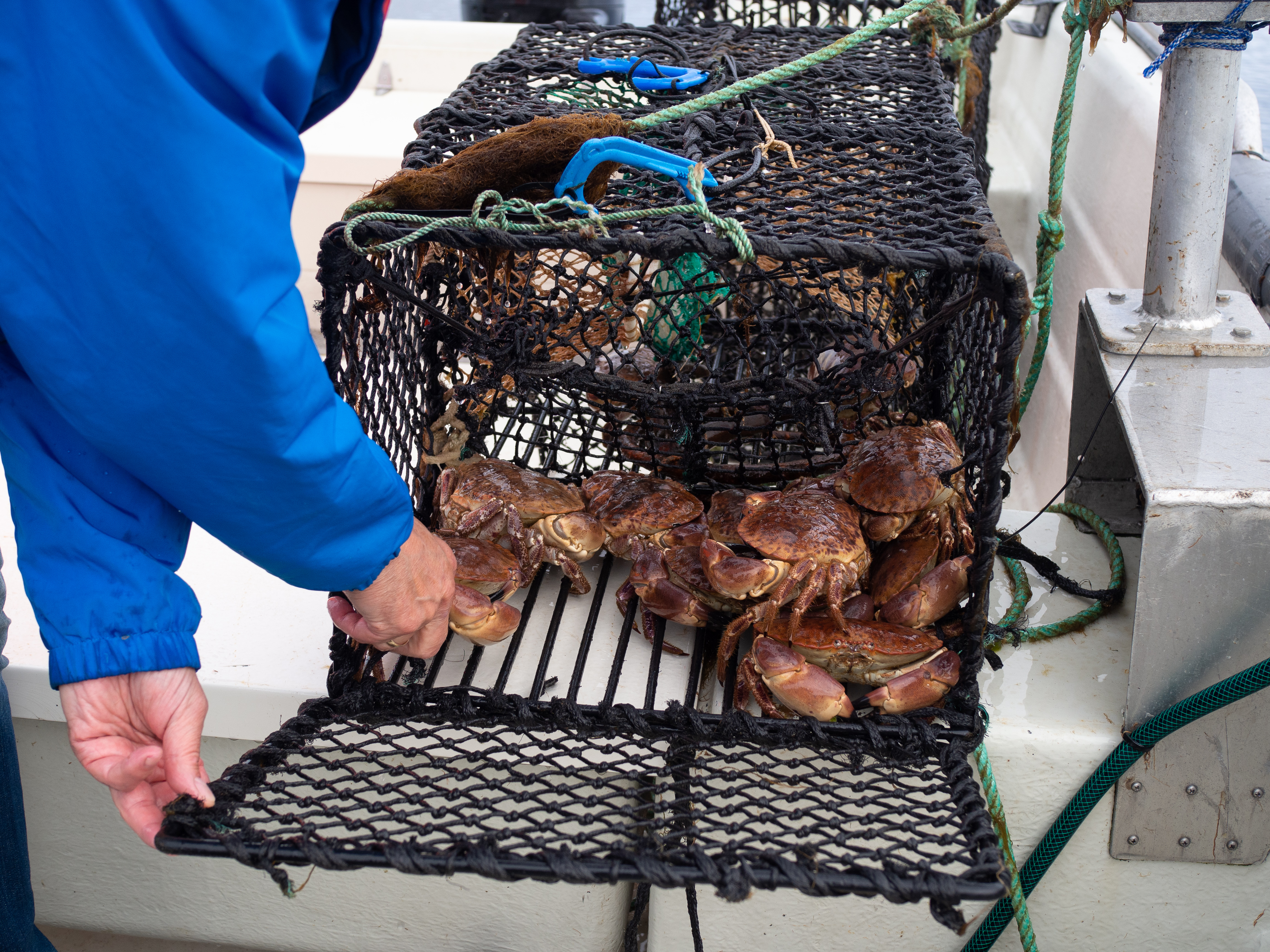 Ona, Norway and Crab Fishing