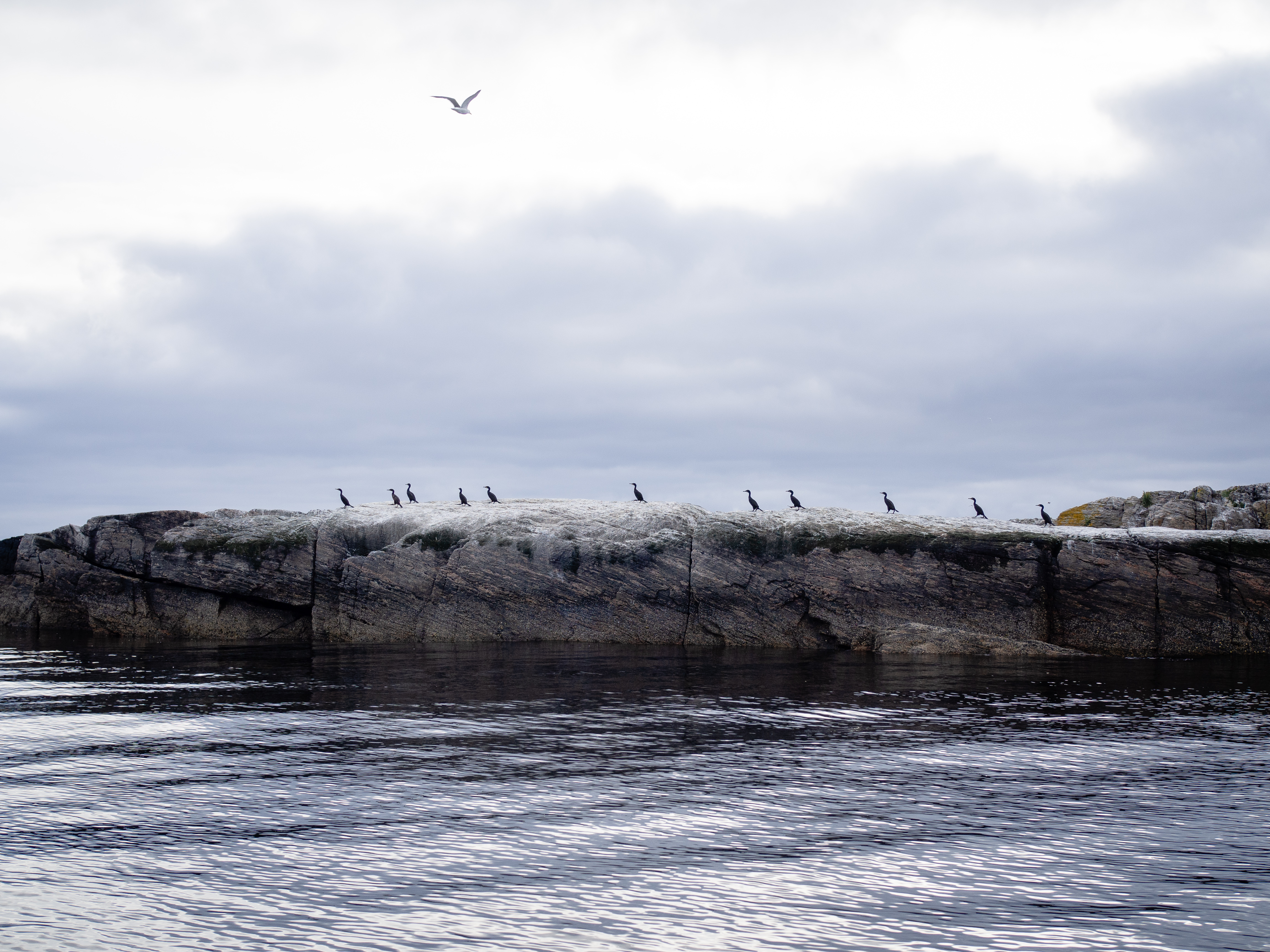 Ona, Norway and Crab Fishing