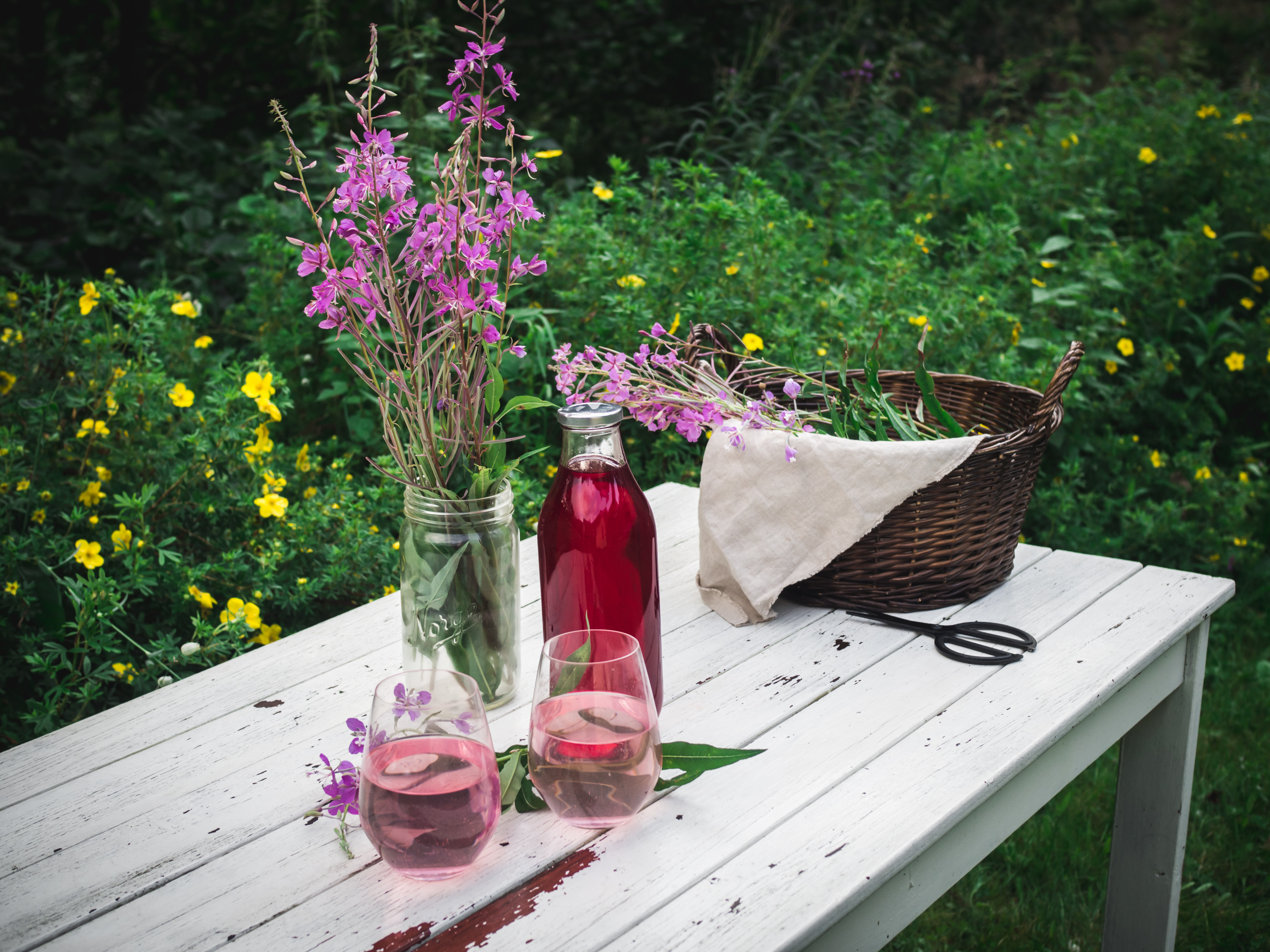 Fireweed Juice (Geitramssaft)